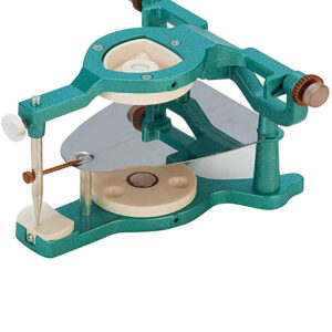 Magnetic Articulators