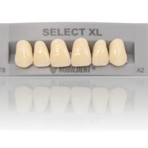 NOBILDENT XL Denture Teeth