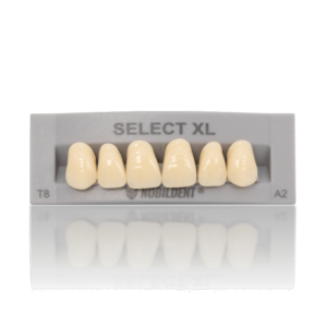 Denture Teeth